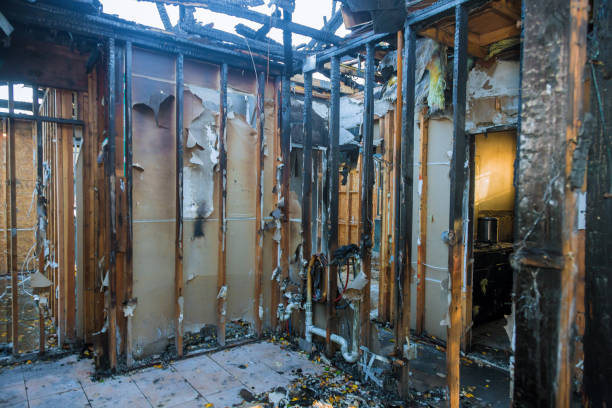 Professional Fire Damage Assessment technician working in Hamshire, TX